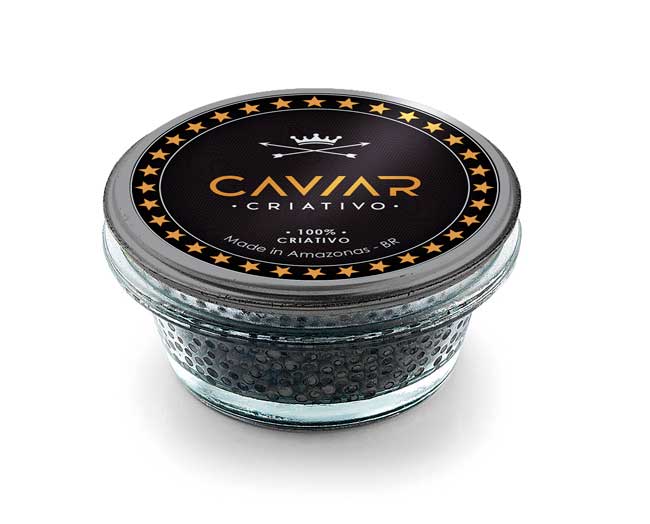 Agência de Marketing Digital Caviar Criativo em Manaus